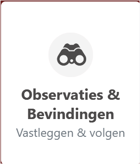 Observaties & bevindingen