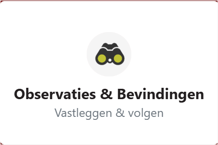 menu_observaties_bevindingen